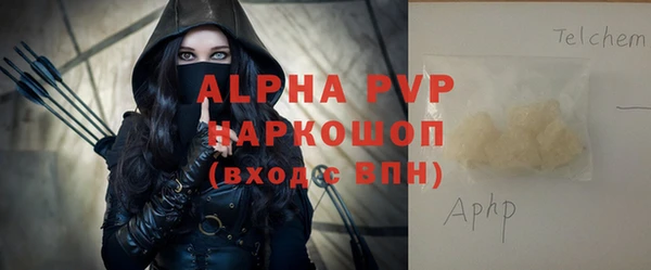 дживик Няндома