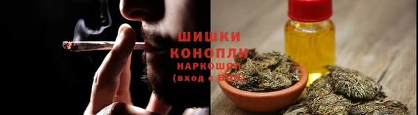 дживик Няндома