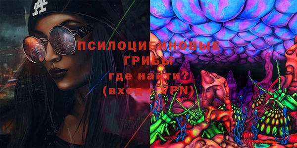 дживик Няндома