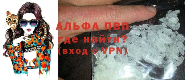 дживик Няндома