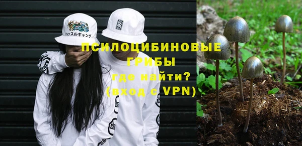 дживик Няндома