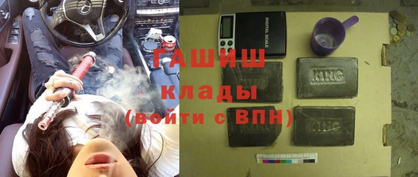 дживик Няндома