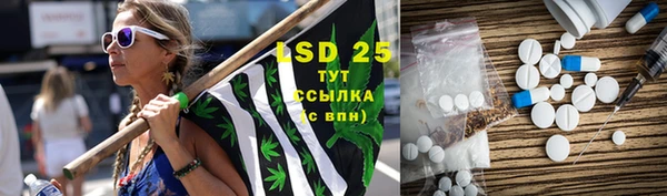 дурь Осташков